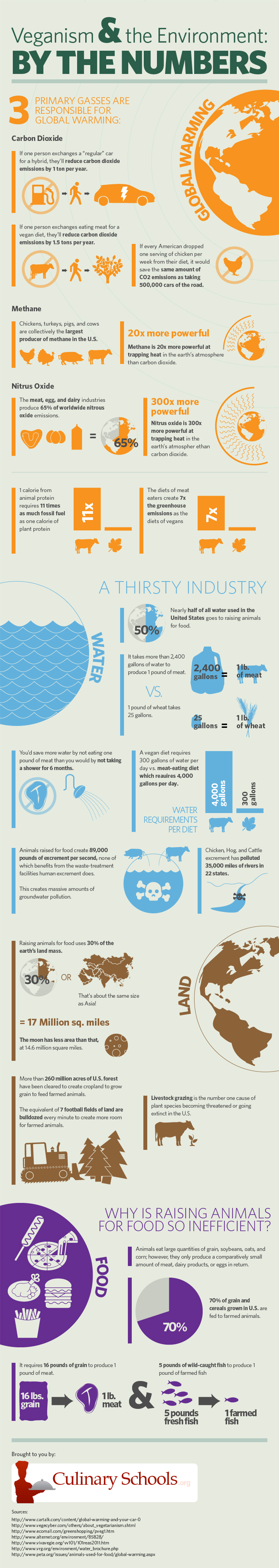 infographic-veganism-environment.jpg